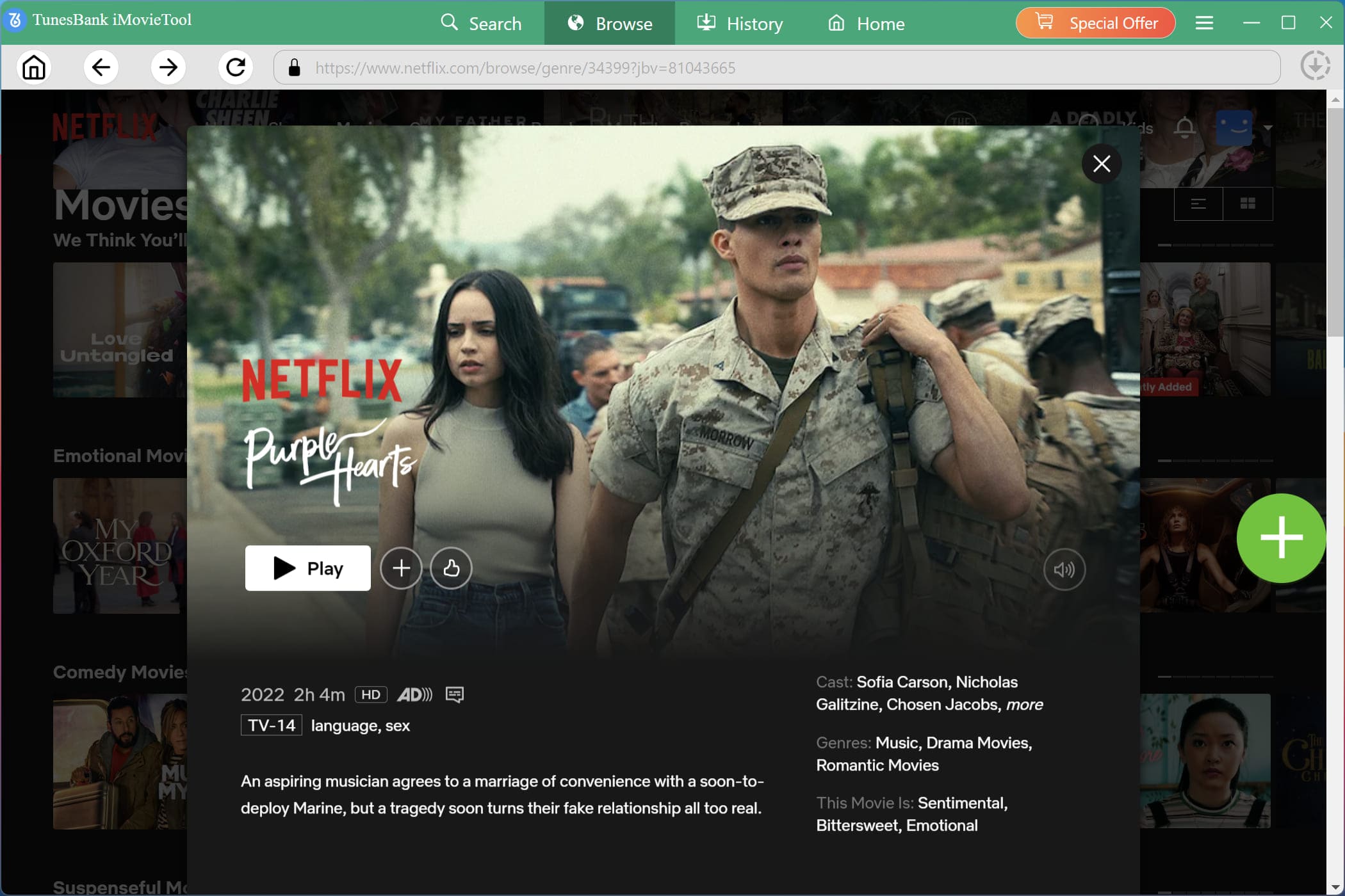 browse netflix video