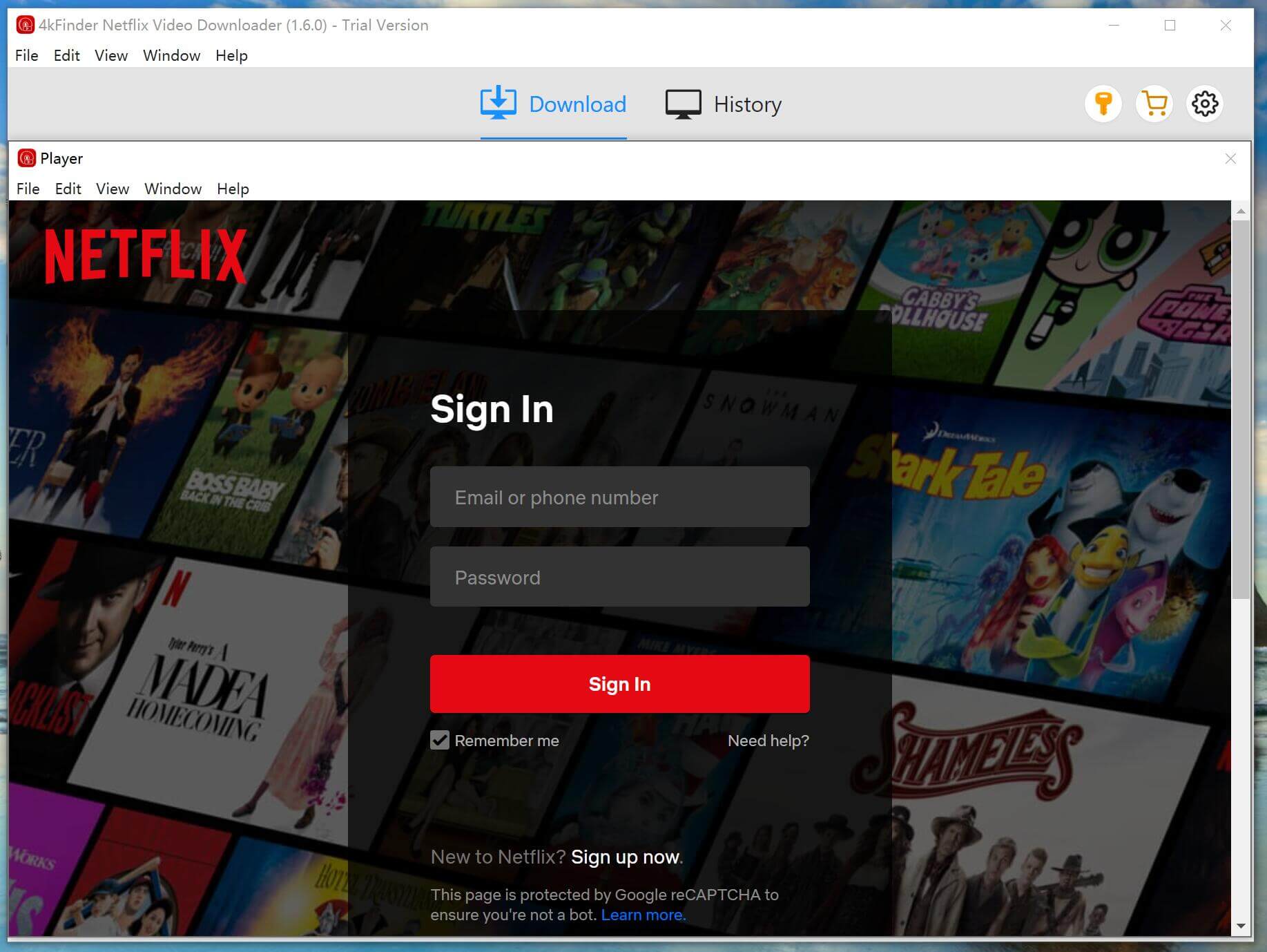 sign in to Netflix account