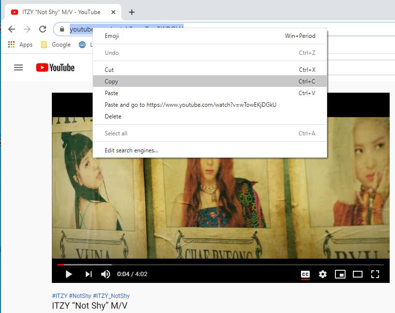 copy youtube blocked video link