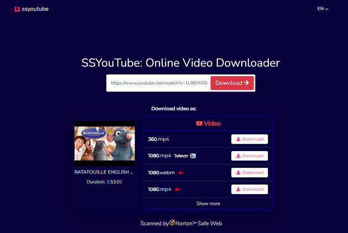 ssyoutube interface